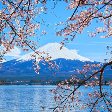 長崎 翔太が撮影した「空間サンプル」の写真