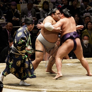 ABNフォトが撮影した「大相撲@両国国技館」の写真