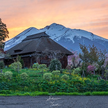 Shintaro Tsushimaが撮影した「建物・風景撮影」の写真