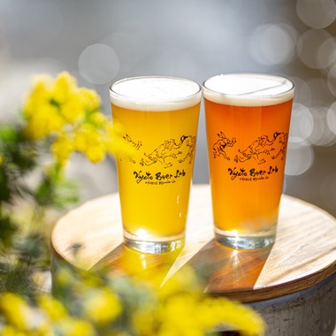 studio aluc ~スタジオ アルク~が撮影した「クラフトビール」の写真