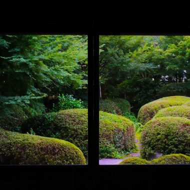 YVLが撮影した「作例」の写真