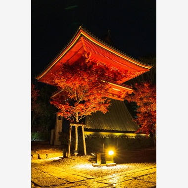 堀田佳資が出張撮影した「風景」の家族写真