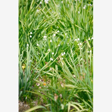 Tak Ogawa photographerが撮影した「風景写真」の写真