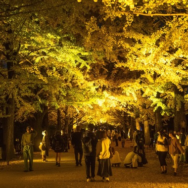 相場 友輔が撮影した「風景_2022」の写真