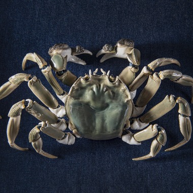 山畑俊樹が撮影した「アート作品」の写真