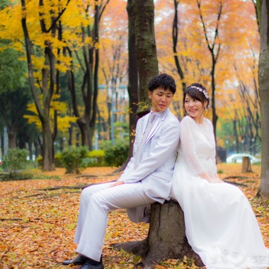 パシャ陽和が撮影した「」の写真