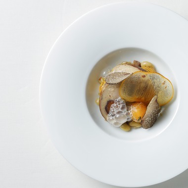 株式会社コクーン・エンタテイメントが撮影した「法人実績」の写真