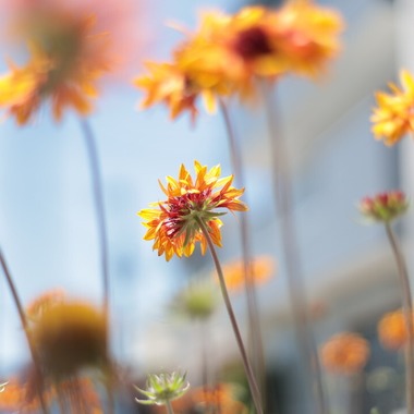 RETRIN株式会社が撮影した「大阪」の写真