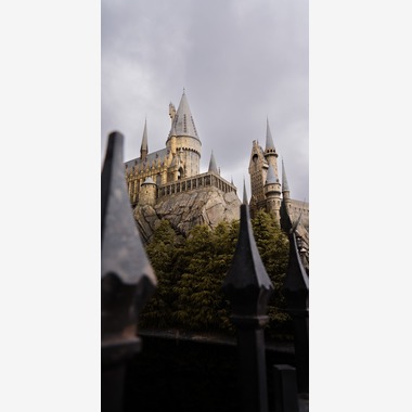 中田凌太郎が撮影した「風景、物、夜景」の写真