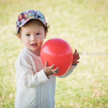 MC-photoが撮影した「2016_Nov_江戸川区」の写真