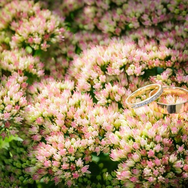 航平が撮影した「」の写真
