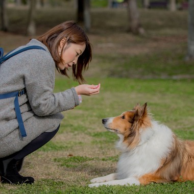 来田 篤典が撮影した「ペット」の写真