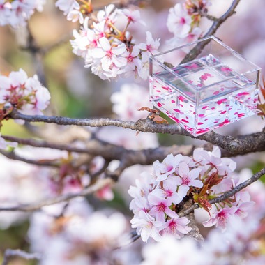 maruが撮影した「旅するアクリル枡」の写真