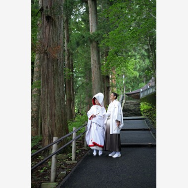 プロショップ　アングルが撮影した「フォトギャラリー」の写真