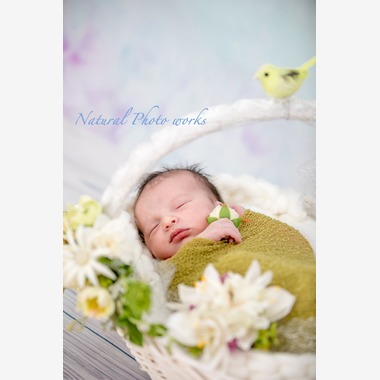 Keiko Yuzawaが出張撮影した「ニューボーンフォト」の家族写真