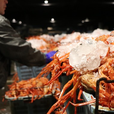 かわもとじゅんいち【Jun3photo】が撮影した「商品撮影　ブツ撮り撮影」の写真