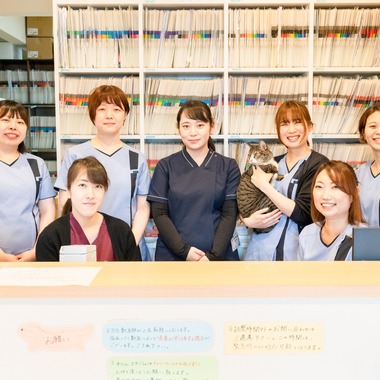 Kirari photoが撮影した「動物病院」の写真