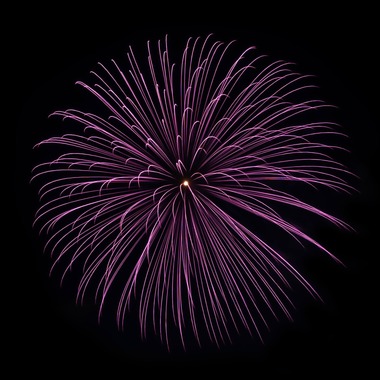 YVLが撮影した「作例」の写真