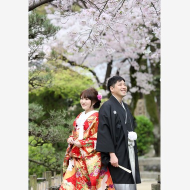 KIKIウェディングが撮影した「しだれ桜とソメイヨシノ」のウェディングフォト