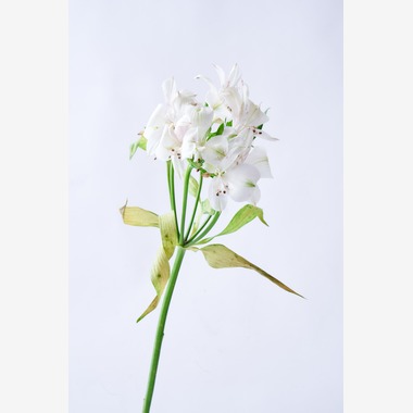 blankが撮影した「商品撮影」の写真