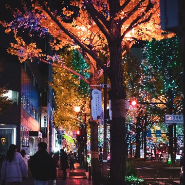 YuKI EXPRESSHOWが撮影した「スナップ」の写真