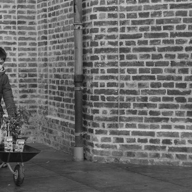 Petite Nao Photographyが撮影した「自宅でのドキュメンタリー形式の家族写真」の写真