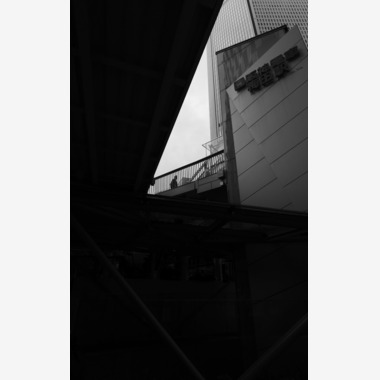 YVLが撮影した「作例」の写真