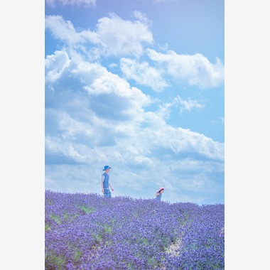 北海道ロケーションフォトウェディング♪が撮影した「富良野ラベンダー畑でファミリー旅行記念撮影」の写真