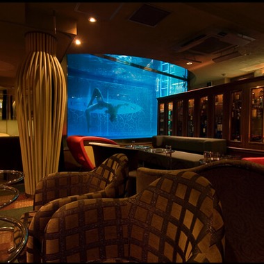 有限会社　澤田スタジオが撮影した「飲食店」の写真