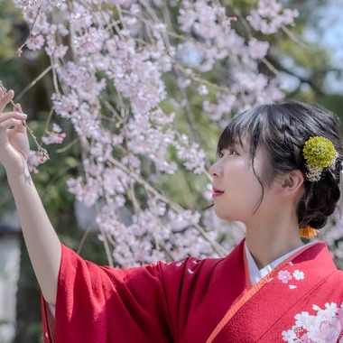 あおフォトが撮影した「成人式」の写真