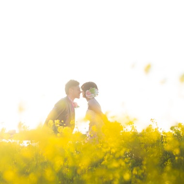 阿部写真館　徳島本店（北原 慎也）が撮影した「ひまわり　菜の花ロケーションフォト」の写真