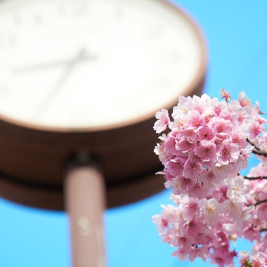 長崎 翔太が撮影した「物サンプル」の写真