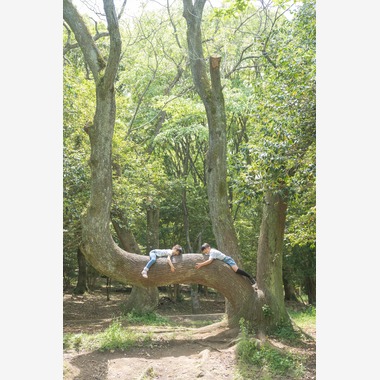 河村　賢が撮影した「ファミリー（熊本）」の写真