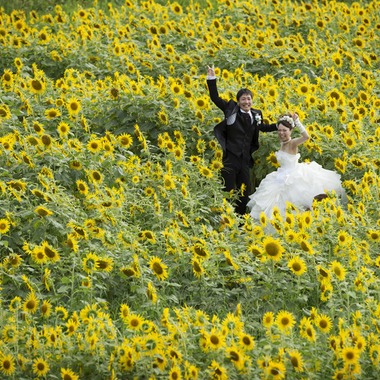Ash Wedding Photoが撮影した「フォトギャラリー」の写真