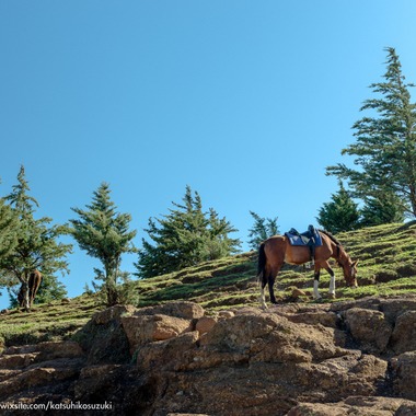 Katsuhiko Suzukiが撮影した「レソト王国」の写真
