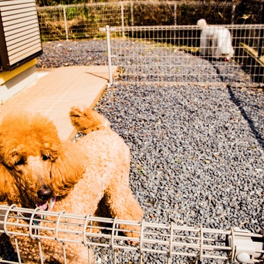 MTワークスが撮影した「企業撮影」の写真