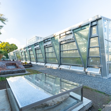 永田 光起が撮影した「小石川植物園、虎ノ門ヒルズ」の写真
