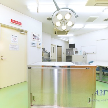 A2FT.jpフォトグラファーまつもとあきらが撮影した「2021年1月 緑が丘動物病院様」の写真
