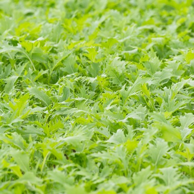 出張撮影TLaboが撮影した「求人用　職場風景の撮影」の写真