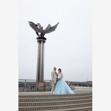 あとりえmagが撮影した「みかんの木」の写真