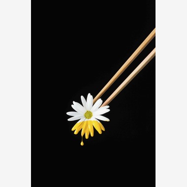 スタジオ11が撮影した「様々な料理写真」の写真