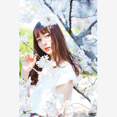 KIRAが撮影した「「春の景色の中で」」の写真