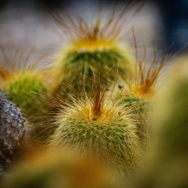 水嶋 将太が撮影した「思い出。」の写真
