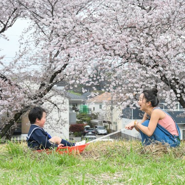 アラタンホヤガが撮影した「入園撮影」の写真