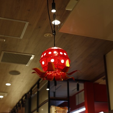 ブイ・シー・エス　アーガシアが撮影した「ポートフォリオ02」の写真