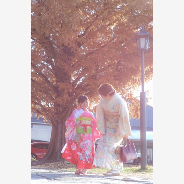 プロカメラマン　竹之下　光（あきら）が撮影した「七五三」の写真