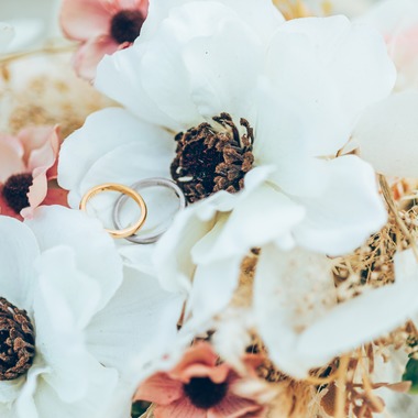 Photo taken by 宮川　斉記 - ring