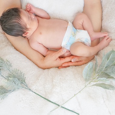 toitoiが撮影した「」の写真