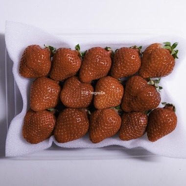 T-myulaが撮影した「フード撮影例」の写真