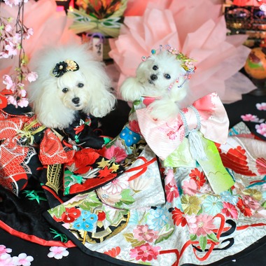 高橋 透（Coo&Sea STUDIO代表）が出張撮影した「お正月撮影会2020@新横浜Coo&Sea STUDIO」の家族写真